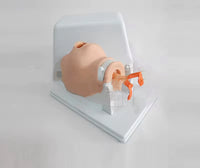 Modelo de intubacion traqueal de bebe recién nacido