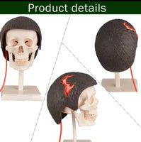 Simulador Hemorragia Cabeza heridas primeros auxilios