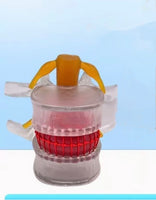 Modelo de vertebra lumbar - hernia discal - Modelos Anatómicos Humanos