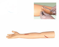 Modelo simulador de sutura de brazo