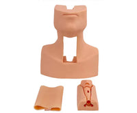 Simulador de traqueostomia tráquea avanzado