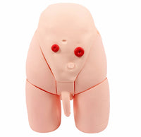 Cateterismo masculino o femenino cateterismo