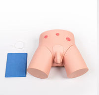 Modelo de cateterismo femenino o masculino