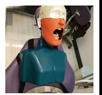 Simulador dental entrenador desmontable