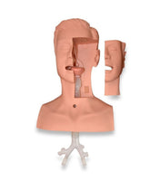 Simulador traqueotomia con bronquios traqueal traquea