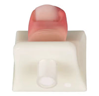 Simulador de uñas enterradas práctica quirúrgica realista pie o mano podologia