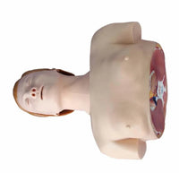Modelo de resusitacion cardiopulmonar RCP - primeros auxilios CPR