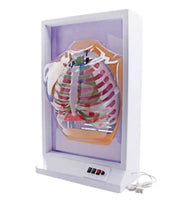 Simulador de Diafragma pulmonar pulmon sistema respiratorio