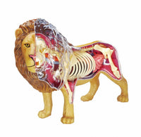 Modelo 4D desmontable Leon MVZ