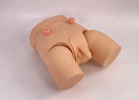 Modelo de cateterismo femenino o masculino