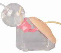 Simulador de cateteriamo urinaria masculino o femenino