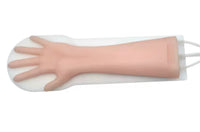 Simulador Ultrasonido Fistulas arteriovenosas brazo