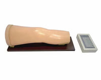 Modelo de punción articulacion de rodilla o codo inyeccion simulador