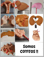 Simulación sutura realista cirugia de organos laparoscopia Kit