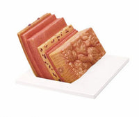 Modelo pared del estomago