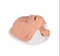 Simulador intubacion traqueal bebé