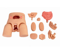 Simulador de cateterismo urinario Bisexual Avanzado