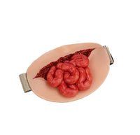 Simulador de Heridas Estomago emergencia