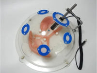 Simulador laparoscopia sistema urinario