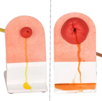 Simulador de ostomia colostomia urostomia