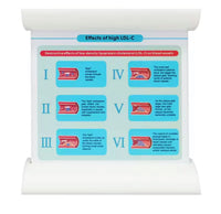 Simulador Arterial LDL colesterol obstruccion flujo sanguíneo