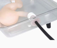 Modelo simulador laparoscopia de entrenamiento endoscopio estomago de cirugia gastroscopica