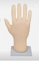 simulador de tobillo o muneca artroscópico artroscopia