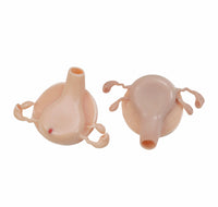 Simulador Uterino histeroscopia utero endoscopia