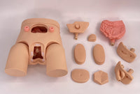 Simulador de cateterismo urinario Bisexual Avanzado