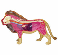 Modelo 4D desmontable Leon MVZ