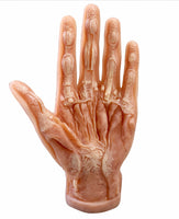 Modelo de mano - Ultra Realista Alta Simulación