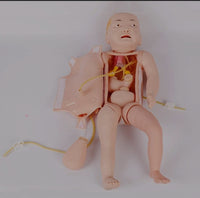 Modelo de venopunción cefalica y unbilical infantil nino