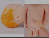 Modelo de venopunción cefalica y unbilical infantil nino