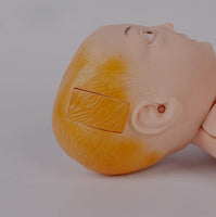 Modelo de venopunción cefalica y unbilical infantil nino