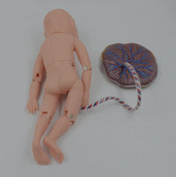 Modelo bebe recien nacido con cordon umbilical con placenta neonatal