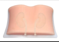 Simulador ultrasonido guiado punsion renal - biopsia