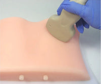 Simulador ultrasonido guiado punsion renal - biopsia