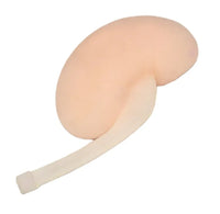 Simulador ultrasonido guiado punsion renal - biopsia