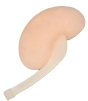 Simulador ultrasonido guiado punsion renal - biopsia