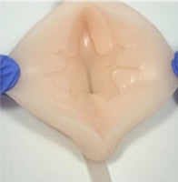 Simulador ultrasonido guiado punsion renal - biopsia