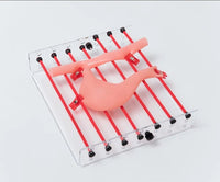 Simulador practica en anastomosis sutura intestinal