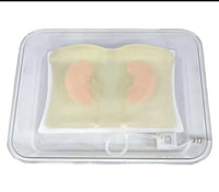 Simulador biopsia renal