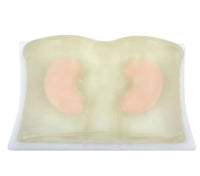 Simulador biopsia renal