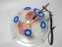 Simulador laparoscopia sistema urinario