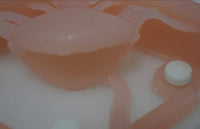 Simulador laparoscopia sistema urinario