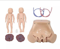 Simulador de parto gemelos gemelar