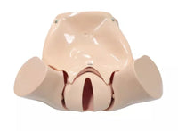 Simulador de parto gemelos gemelar