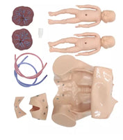 Simulador de parto gemelos gemelar