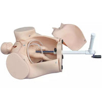 Simulador De Obstetricia De Parto manual