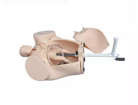 Simulador De Obstetricia De Parto manual